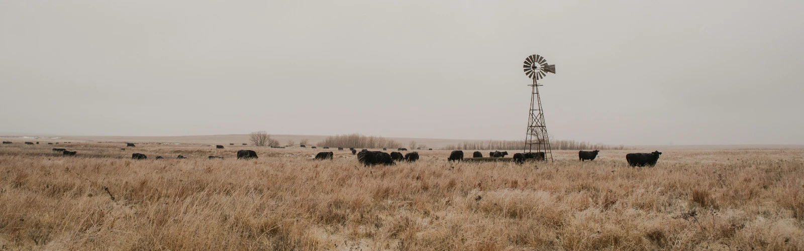 Exploring the Historic Charm of Garnett, KS: A Guide for History Enthusiasts